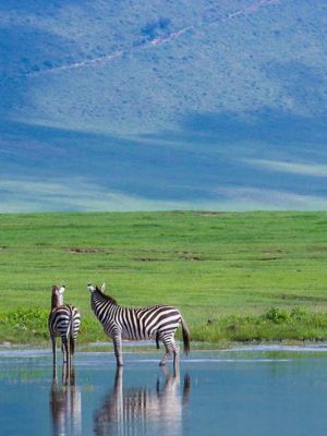  Ngorongoro Crater