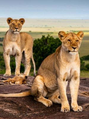 Serengeti National Park