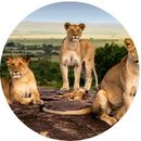 Big Five